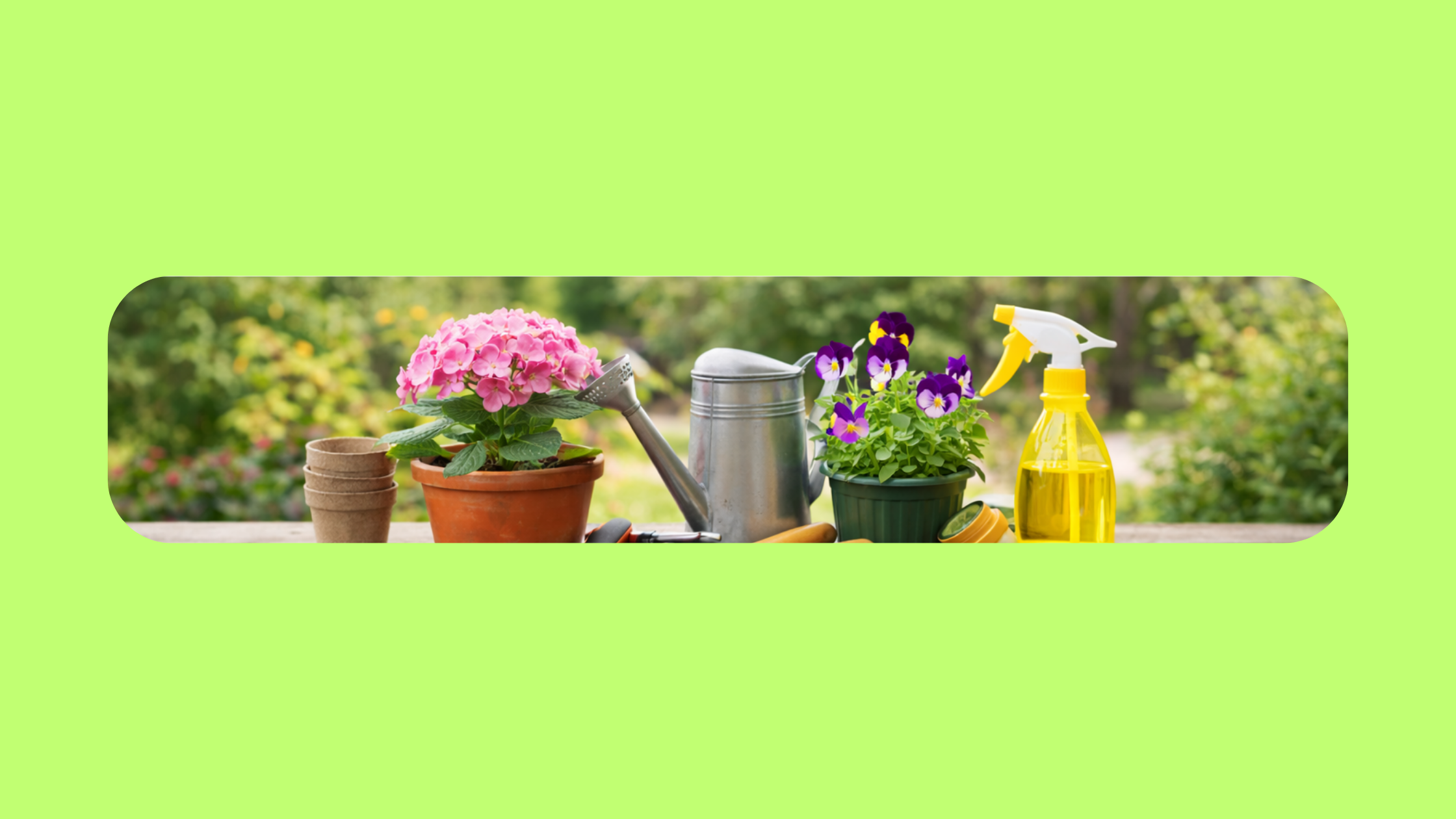 Dom – Ogród i przestrzenie zewnętrzne